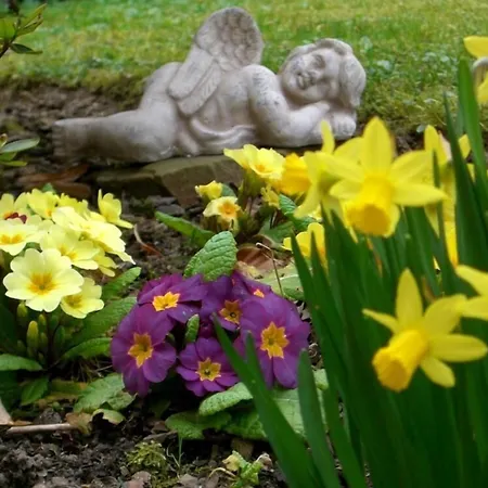 Hotel Haus Am Park 3*