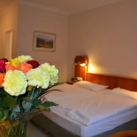 Hotel Haus Am Park 3*