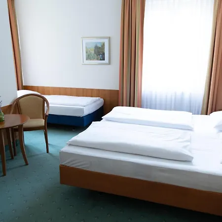 帕克酒店 3* 巴特洪堡