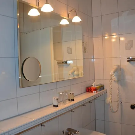 Hotel Haus Am Park 3*