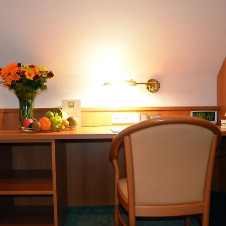 Hotel Haus Am Park 3*