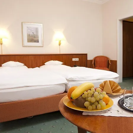 Hotel Haus Am Park 3*