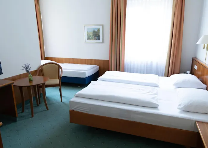 帕克酒店 3* 巴特洪堡