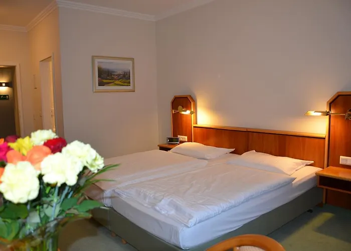 酒店 帕克酒店 巴特洪堡