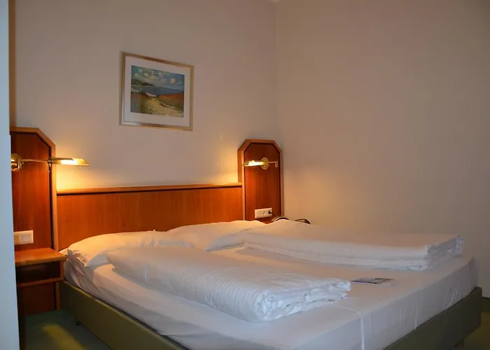 酒店 帕克酒店 巴特洪堡