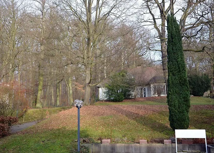 酒店 帕克酒店 巴特洪堡